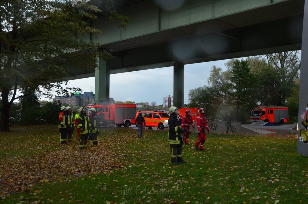 Einsatz BF Hoehenretter Koelner Seilbahn Hoehe Zoobruecke P2174.JPG